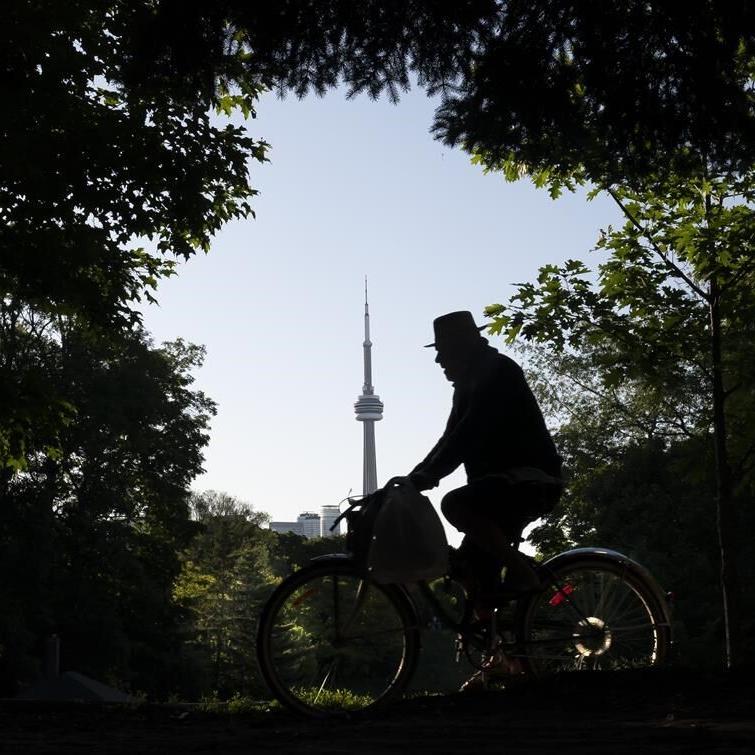 Death of woman hit by branch in Toronto park shows need for maintenance: arborists